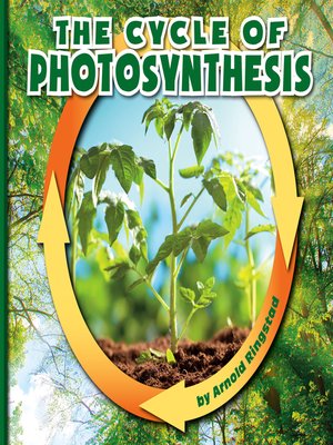 cover image of The Cycle of Photosynthesis